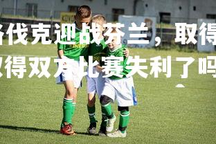 悟空体育登录-斯洛伐克迎战芬兰，取得双方比赛失利，斯洛伐克迎战芬兰,取得双方比赛失利了吗