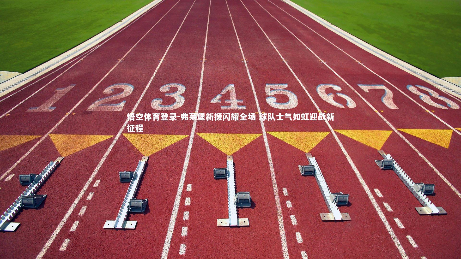 悟空体育登录-弗莱堡新援闪耀全场 球队士气如虹迎战新征程