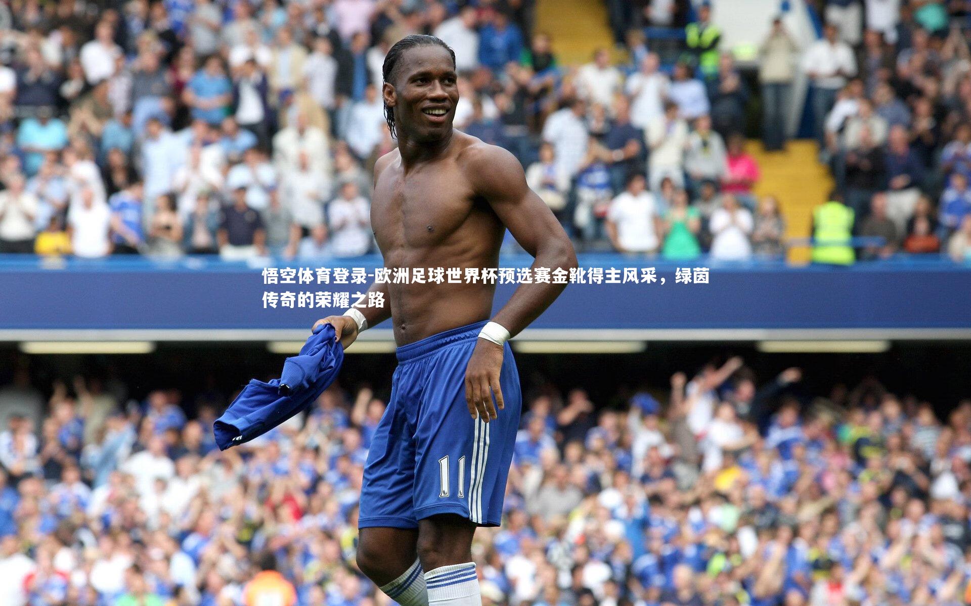 悟空体育登录-欧洲足球世界杯预选赛金靴得主风采，绿茵传奇的荣耀之路